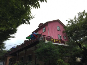 Гостиница Sankol Garden Pension  Янпхён